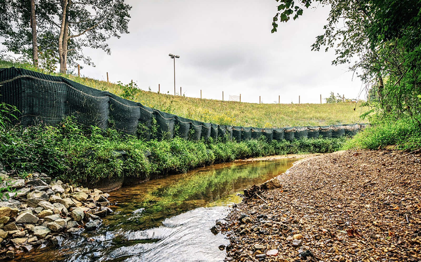 ScourLok for Streambank Stabilization