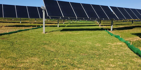 Solar Farm Solutions