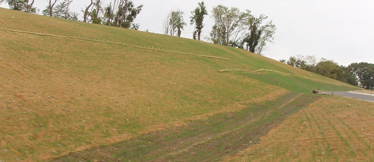 Extended Term Erosion Control Blankets, Colorado